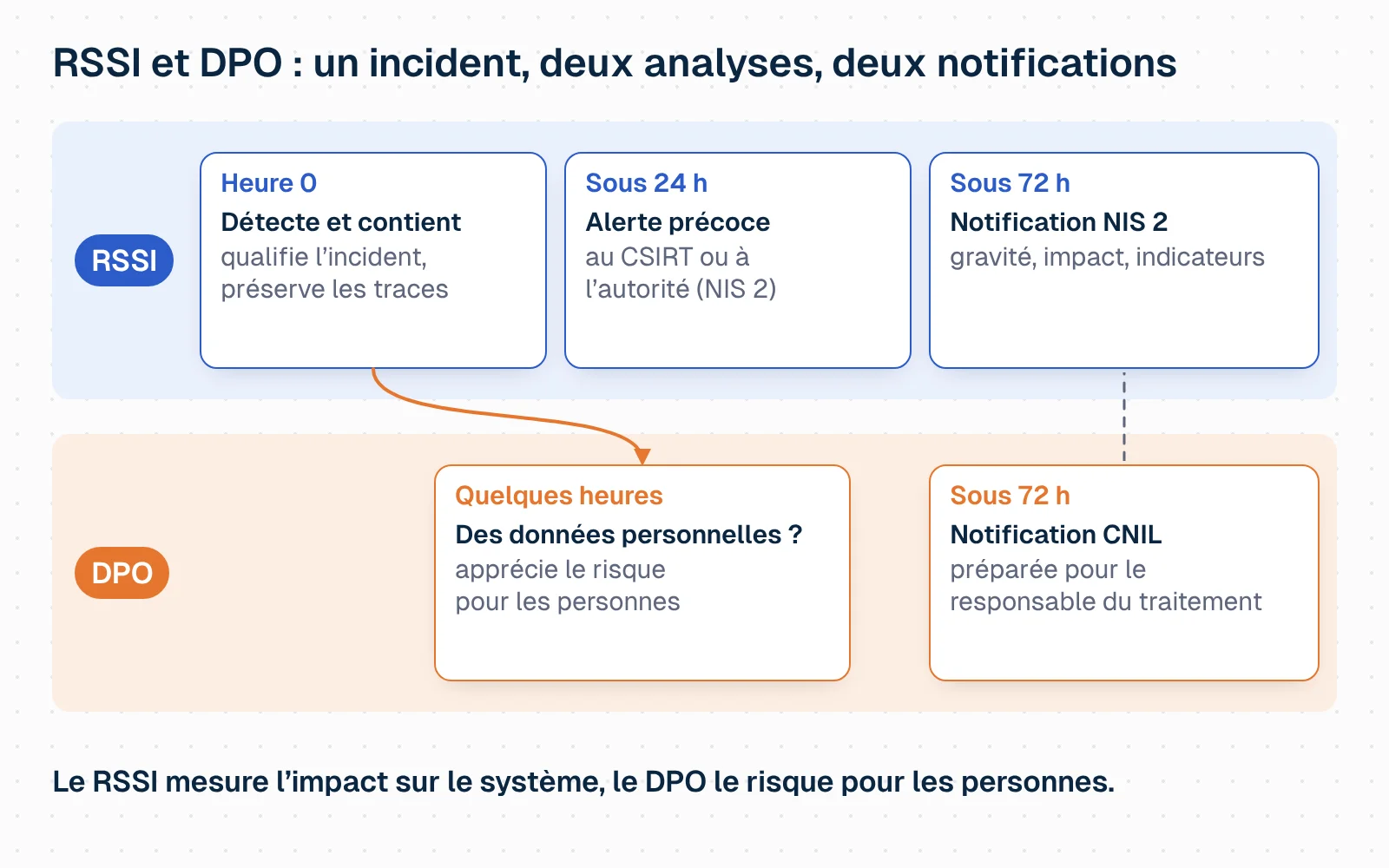 Schéma animé en deux couloirs, RSSI et DPO. Heure 0 : le RSSI détecte et contient l'incident, qualifie et préserve les traces ; une flèche passe au DPO qui, dans les heures qui suivent, vérifie si des données personnelles sont touchées et apprécie le risque pour les personnes. Sous 24 heures, le RSSI envoie l'alerte précoce au CSIRT ou à l'autorité prévue par NIS 2 ; sous 72 heures, la notification d'incident NIS 2 (gravité, impact, indicateurs). En parallèle, sous 72 heures, le DPO prépare la notification à la CNIL pour le responsable du traitement. Message : le RSSI mesure l'impact sur le système, le DPO le risque pour les personnes.
