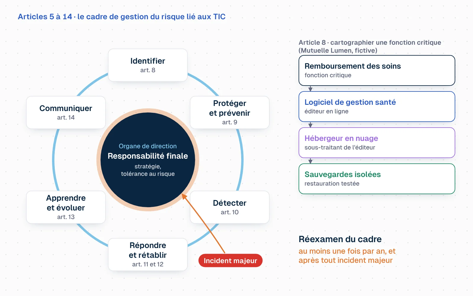 Un cycle de six étapes autour d'un cercle central « Organe de direction : responsabilité finale, stratégie, tolérance au risque ». Étapes : identifier (article 8 : fonctions, actifs, dépendances, revue annuelle), protéger et prévenir (article 9 : politiques de sécurité, accès, chiffrement, correctifs), détecter (article 10 : activités anormales, seuils d'alerte), répondre et rétablir (articles 11 et 12 : continuité, sauvegardes isolées, tests au moins annuels), apprendre et évoluer (article 13 : retour d'expérience, formation), communiquer (article 14 : plans de communication). Une flèche « incident majeur » ramène au réexamen du cadre. Exemple fictif de la Mutuelle Lumen : la fonction « remboursement des soins » est reliée à l'éditeur de gestion, à l'hébergeur et aux sauvegardes.